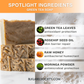Green Tea Soap